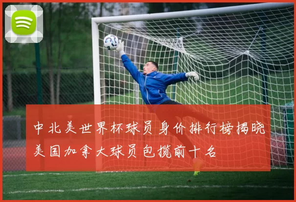 中北美世界杯球员身价排行榜揭晓美国加拿大球员包揽前十名