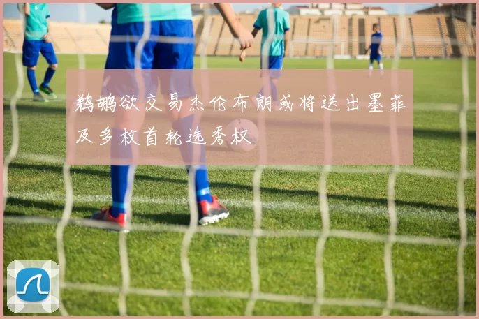 鹈鹕欲交易杰伦布朗或将送出墨菲及多枚首轮选秀权